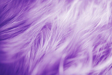 Fototapeta premium Close up of purple fur texture with soft, flowing strands and vibrant color