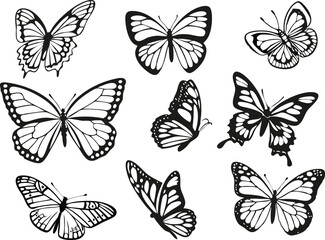 Different butterflies set. Vector illustration
