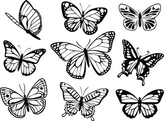 Different butterflies set. Vector illustration