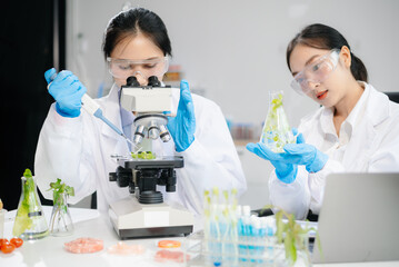 Two Asian scientists in a lab conducting food research using a microscope and lab equipment,...