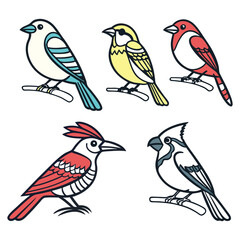 Drawn Colorful Birds Style Vector Design  