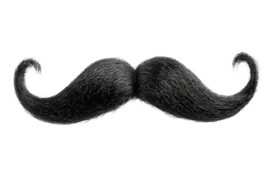 Creative black mustache for costume and fun