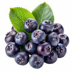 saskatoon berries isolated on transparent background