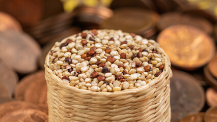 Basket filled with quinoa grains surrounded by coins, symbolizing the value of healthy nutrition and economic sustainability.