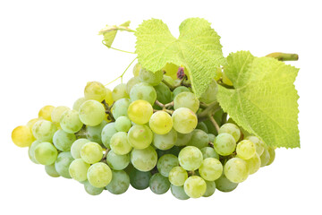 Obraz premium bunch of grapes