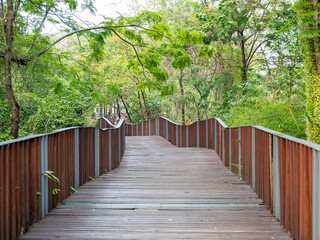 Obraz premium Winding wooden walkway through lush greenery in nature park serene environment scenic view