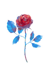 幻想的な薔薇のイラスト