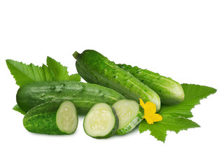 Fresh cucumber whole and slices bunch with green leaves isolated on white background