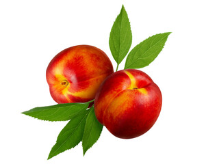 Two whole nectarines or peaches and green leaves isolated on white background