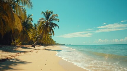 Obraz premium Serene tropical beach vista with azure sky palm trees white sand and gentle waves creating a tranquil summer paradise vacation destination