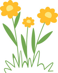 Colorful Spring Flowers