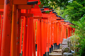 Japan beauty: red torii gate under sunlight