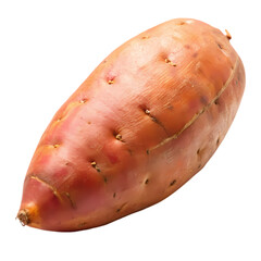 Single organic sweet potato isolated on red raw yam eat root food diet on transparent background