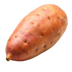 Single organic sweet potato isolated on yam one raw food root diet farm on transparent background