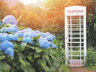 White vintage telephone booth in the park.