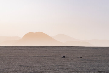 The volcanic landscape at Landmannalaugar, the highlands in Iceland.