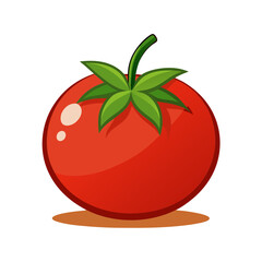 Tomato vector illustration design
