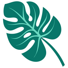 Monstera leaf vector illustration
