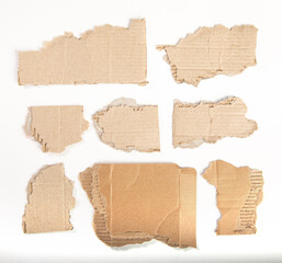 torn pieces of cardboard