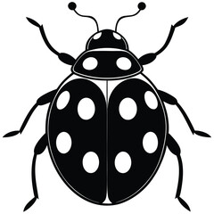Animal Ladybug vector silhouette , clip art, and symbol. Shilhouette of animal concept and simple design