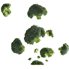 Broccoli PNG cutout isolated on white and transparent background. broccoli png, broccoli transparent background, broccoli cutout, isolated broccoli, fresh broccoli png, green vegetable png,