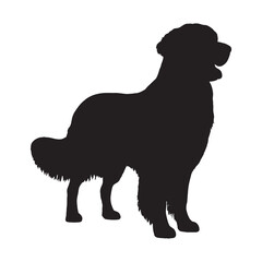 Dog Silhouette - Elegant Dog Shadow for Packaging - Dog Vector - Dog Illustration - Minimalist Dog Silhouette - Dog Vector - Dog Icon
