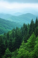 Obraz premium Misty Mountain Majesty A Serene Vista of Verdant Forested Peaks Under a Soft Haze Capturing Nature's Tranquility and Scenic Beauty from an Elevated Angle