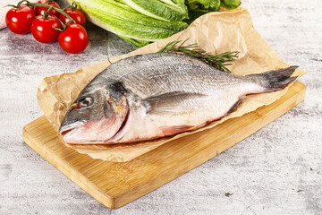Raw dorada fish served rosemary