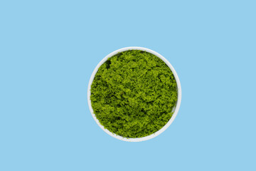 Wooden spoon with water alga, water meal or swamp algae