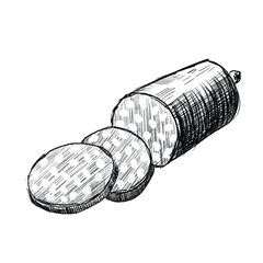 Vector freehand sausage, salami scribble isolated on white background. Texture of writing materials. Handwritten doodles and pencil strokes. Hand drawn sausage line art