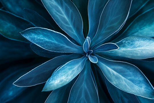 A digitally enhanced close-up of vibrant blue petals forming an abstract floral pattern. The rich colors and intricate details make it ideal for artistic and nature-inspired designs