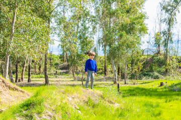 Obraz premium Happy child enjoying a sunny spring day in a lush green forest, fostering a connection with nature and creating cherished childhood memories