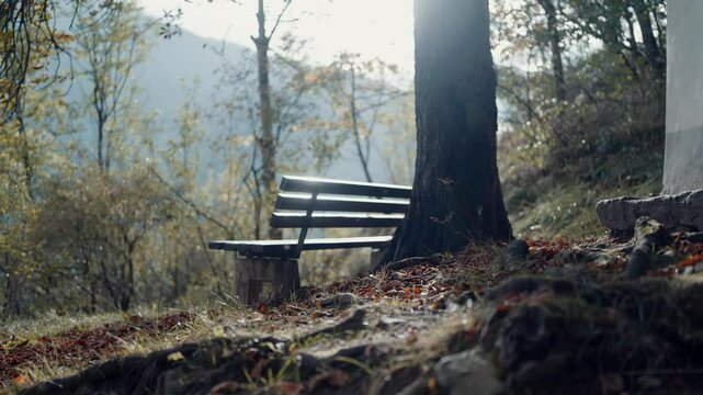 Wooden park bench by a big tree in the woods near a small chapel in Oetz city, Austria, at sunrise