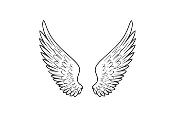Angel Wings Illustration vector