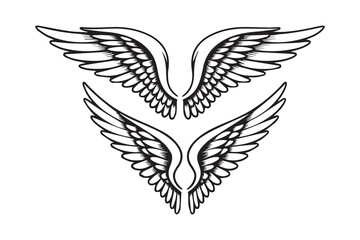 Angel Wings Illustration vector