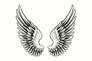 Angel Wings Illustration vector