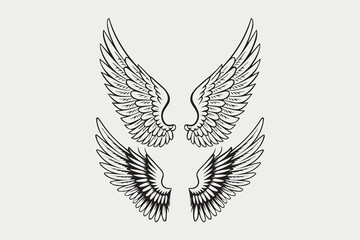 Beautiful Pair of Angelic Wings in Line Art vector