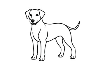  Cute puppy line art vector Drawing Illustration