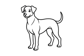  Cute puppy line art vector Drawing Illustration