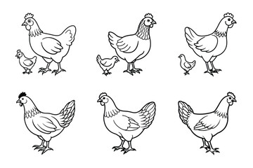 set of line art chicken silhouette with vector Drawing Illustration