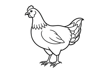 line art chicken silhouette with vector Drawing Illustration