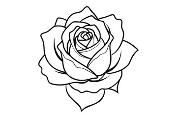 rose line art silhouette on white background