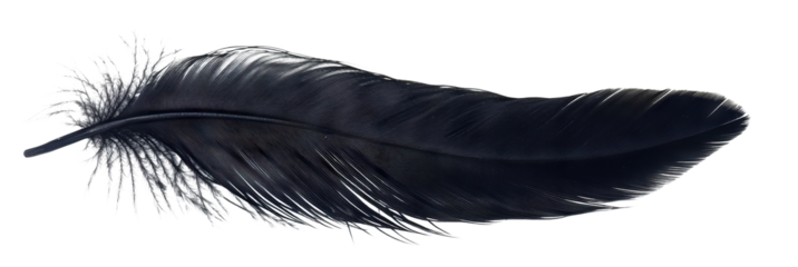 Black feather floating gently, isolated on transparent cutout background