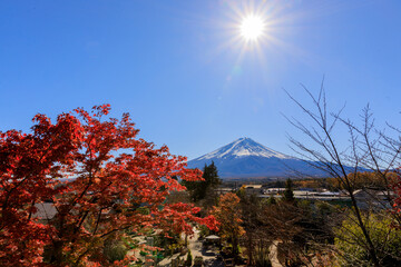 秋の晴天に煌く太陽と富士山の風景