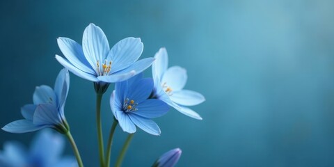 Serene Blue Flowers on a Soft Teal Background A Study in Delicate Petals and Gentle Hues