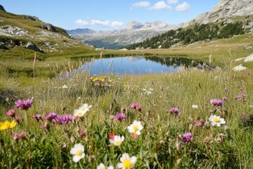 Fototapeta premium Lush wildflowers surround tranquil pond reflecting blue skies an
