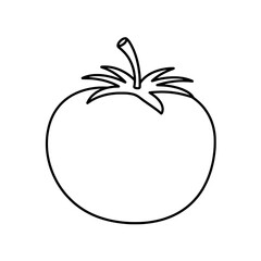 Tomato: A simple and elegant line drawing of a ripe tomato, capturing the essential form and features of this versatile fruit.