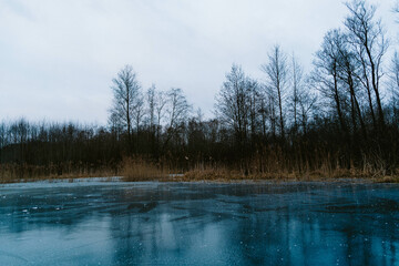 Obraz premium frozen lake in empty winter forest