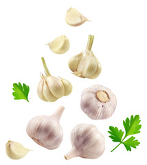 Garlic isolated set. Collection of garlic, garlic cloves and parsley leaves on white background.