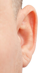 Close up of ear isolated on white background